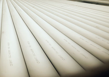Do desenho frio do permutador de calor do tubo RUÍDO destrutivo de aço inoxidável não -/ASTM A213